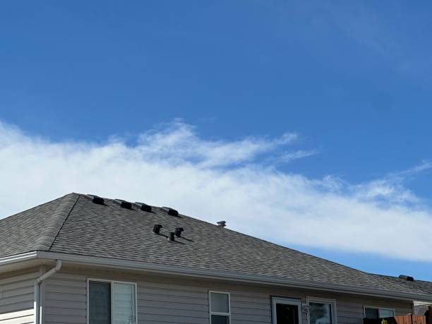 Best Roof Leak Repair  in Buhl, ID